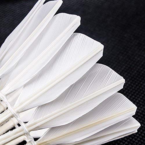 Volantes de plumas de ganso Senston